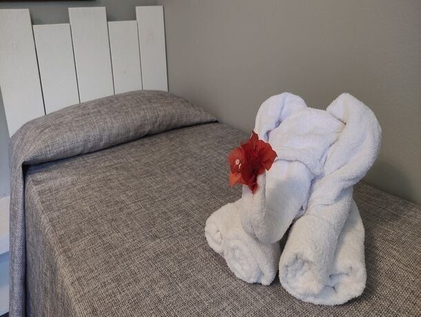 Résidence Habitation Grand Anse pas cher photo 25