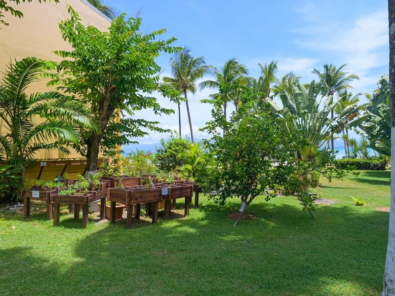 Hôtel Canella Beach 3* pas cher photo 6