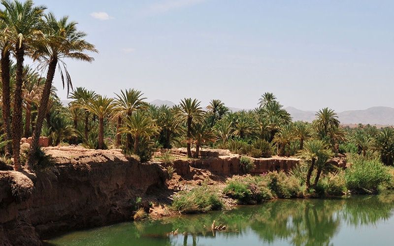 Circuit Grand Sud Marocain & Extension Club Eldorador Kenzi Agdal Medina 5* pas cher photo 7