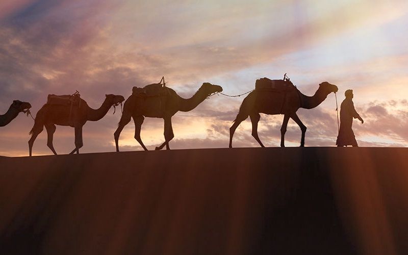 Circuit Grand Sud Marocain & Extension Club Eldorador Kenzi Agdal Medina 5* pas cher photo 9