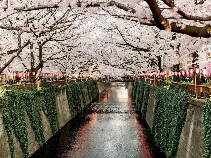 Séjour Tokyo en 3* ou 4* pas cher photo 3