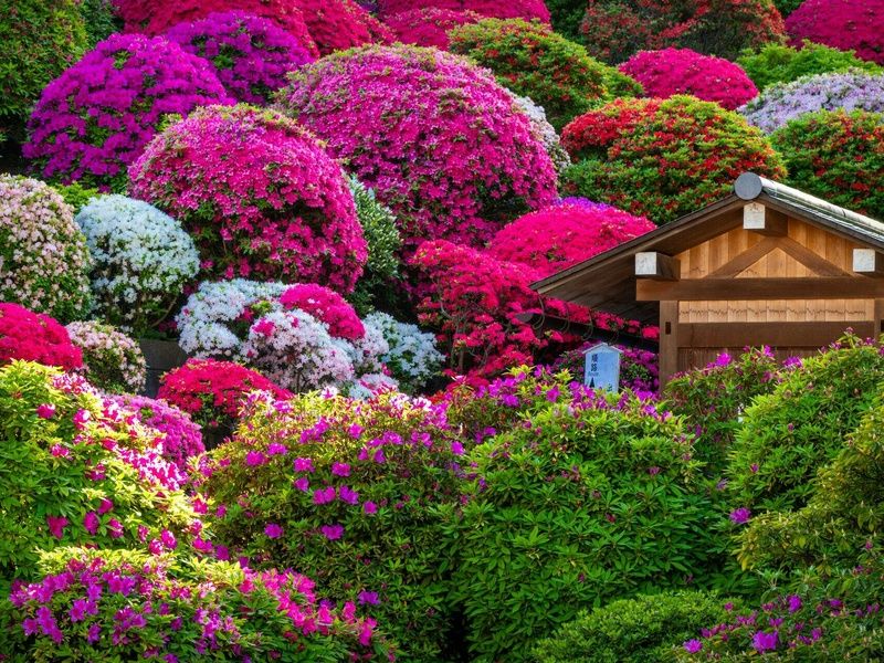 Séjour Tokyo en 3* ou 4* pas cher photo 4