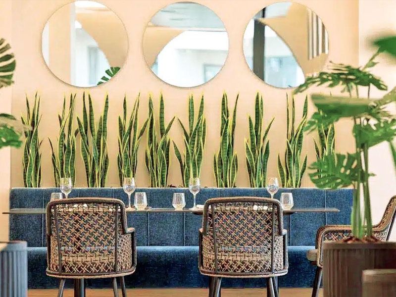 Hôtel MarBella 5* pas cher photo 10