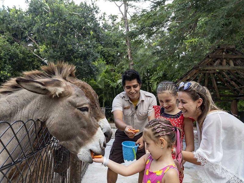 Club Lookéa Sandos Caracol Eco Resort - Choix Flex 4* pas cher photo 52