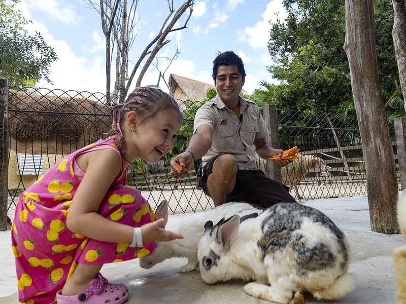 Club Lookéa Sandos Caracol Eco Resort - Choix Flex 4* pas cher photo 53