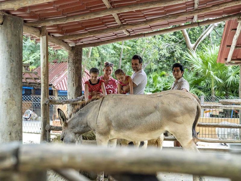 Club Lookéa Sandos Caracol Eco Resort - Choix Flex 4* pas cher photo 54