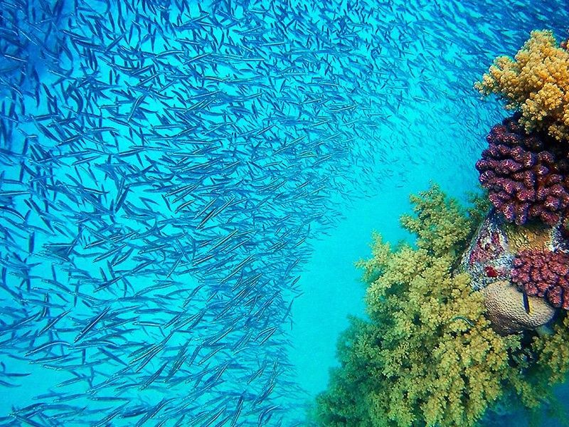 Aqaba en liberté 4* pas cher photo 5