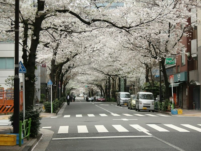 Combiné Tokyo Kyoto en 3* ou 4* pas cher photo 8