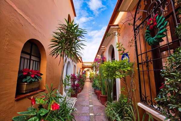 Circuit Couleurs mexicaines pas cher photo 10