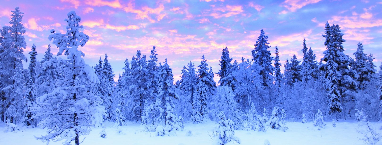 Séjour Activités "Merveilleuse Laponie" Matarengi Lodge 4* pas cher photo 6