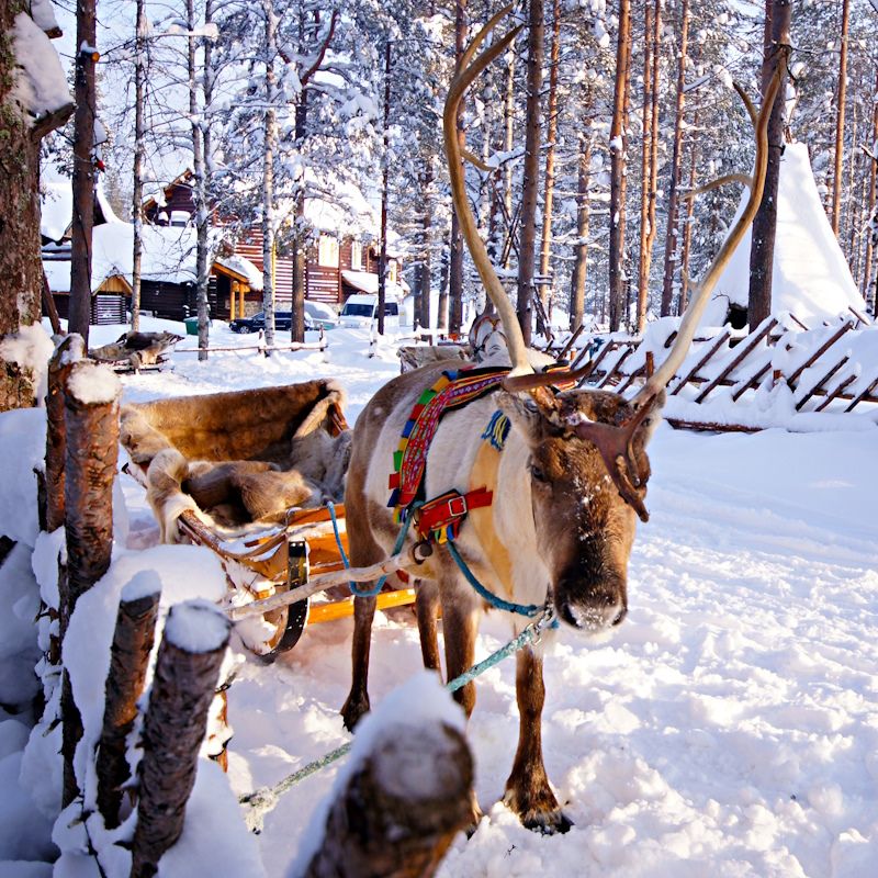 Séjour Activités "Merveilleuse Laponie" Matarengi Lodge 4* pas cher photo 9