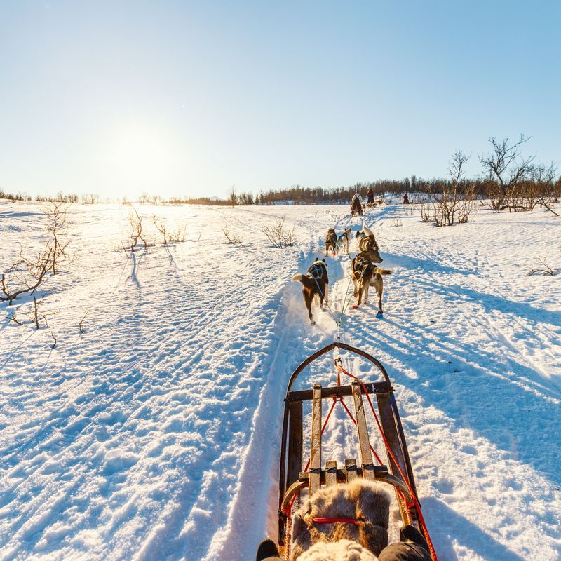 Séjour Activités "Au coeur de la Laponie" Hôtel Samperin Savotta pas cher photo 5