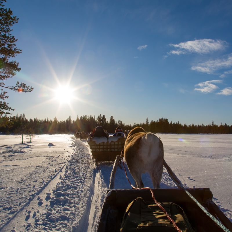 Séjour Activités "Au coeur de la Laponie" Hôtel Samperin Savotta pas cher photo 24