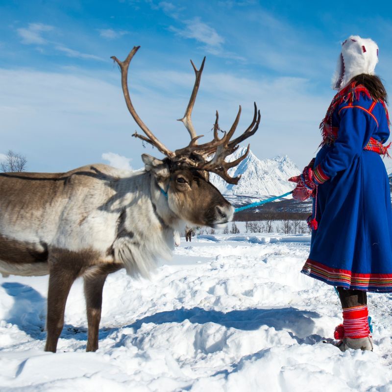 Séjour Activités "Au coeur de la Laponie" Hôtel Samperin Savotta pas cher photo 29