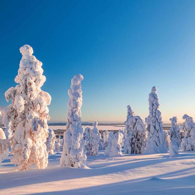 Séjour activités "Balade en Laponie" Mondi Club Sodankyla pas cher photo 13