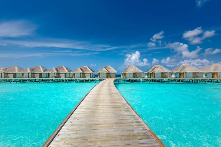 Hôtel Sun Siyam Iru Veli 5* pas cher photo 3