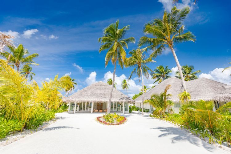 Hôtel Sun Siyam Iru Veli 5* pas cher photo 6