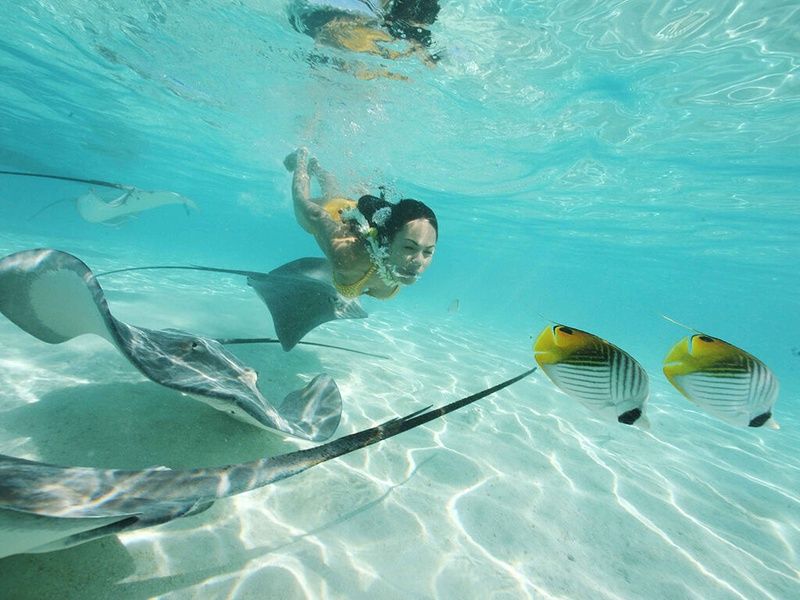 Combiné 4 îles - Tahiti - Raiatea - Bora Bora - Moorea pas cher photo 28