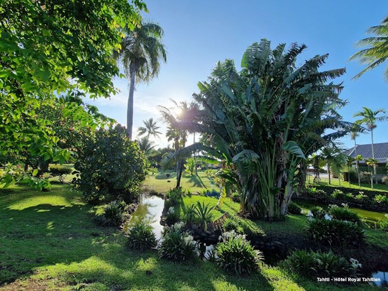 Combiné 4 îles - Tahiti - Moorea - Bora Bora - Tikehau pas cher photo 3