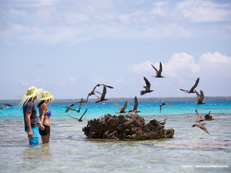 Combiné 4 îles - Tahiti - Moorea - Bora Bora - Tikehau pas cher photo 25