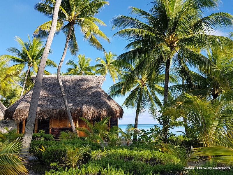 Combiné 4 îles - Tahiti - Moorea - Bora Bora - Tikehau pas cher photo 27