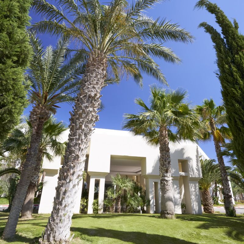 Mondi Club Nozha Beach Resort & Spa 4* sup pas cher photo 9