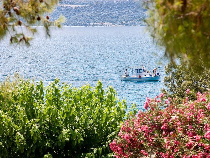 Hôtel Kalamaki Beach Resort 4* pas cher photo 13