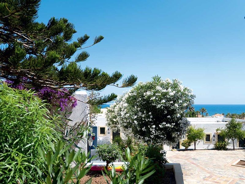 Hôtel Tui Suneo Chrissi Amoudia 4* pas cher photo 20