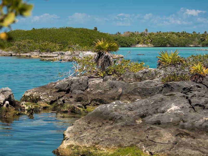 Circuit Echappée Mexicaine Active depuis l'hôtel Bahia Principe Grand Tulum 5* pas cher photo 10
