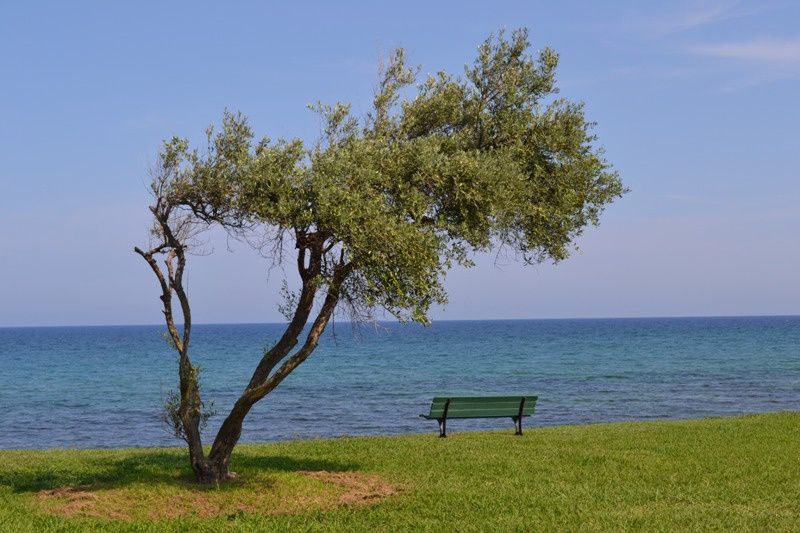 Hôtel Orizonte 3* (vols réguliers) pas cher photo 14