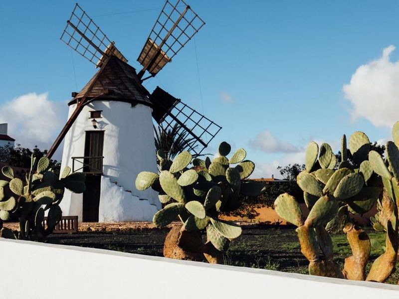 Hôtel SBH Monica Beach Resort By Ovoyages 4* pas cher photo 15