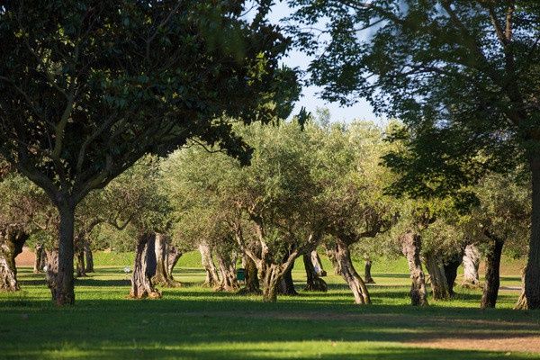 Club Jumbo Lipari 4* pas cher photo 4