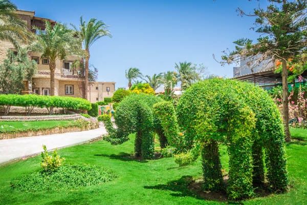 Hôtel Seagull Resort 4* pas cher photo 33