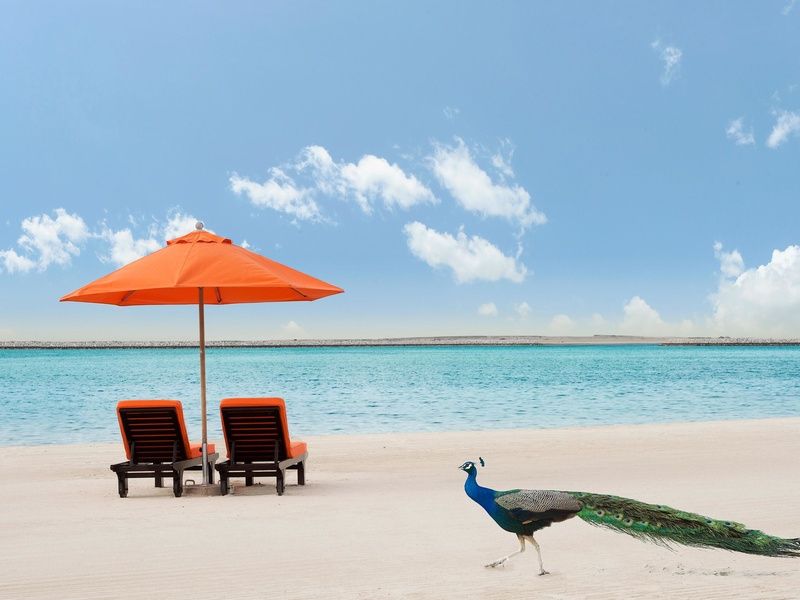 Ôclub Select JA Lake View 5* pas cher photo 11