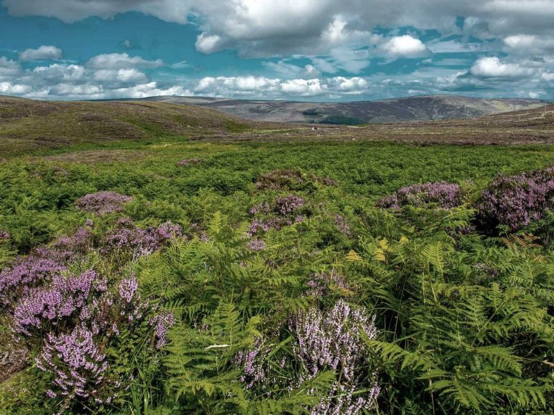 Autotour L'Irlande éternelle pas cher photo 2