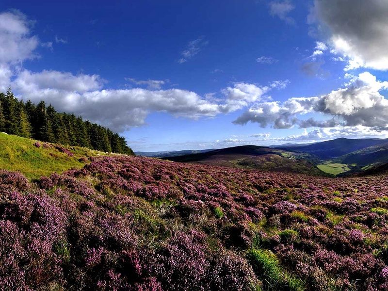 Autotour L'Irlande éternelle pas cher photo 5