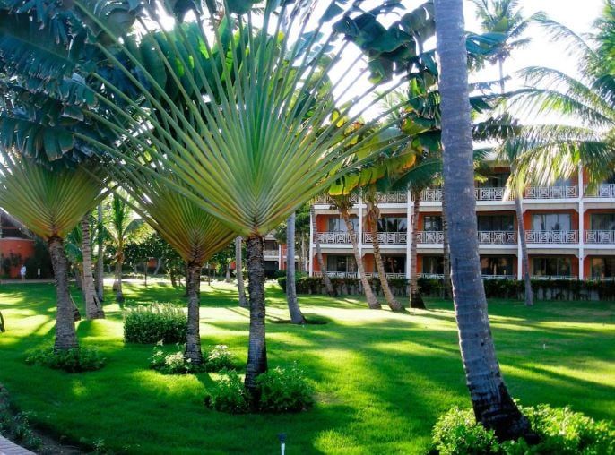 Hôtel Vik Arena Blanca 4* pas cher photo 6