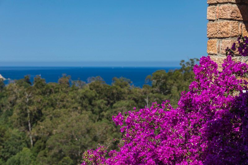 Hôtel Capo D'Orto 3* pas cher photo 3