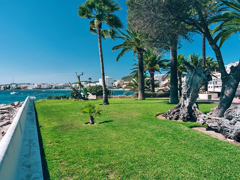 Hôtel THB Los Molinos 4* pas cher photo 14