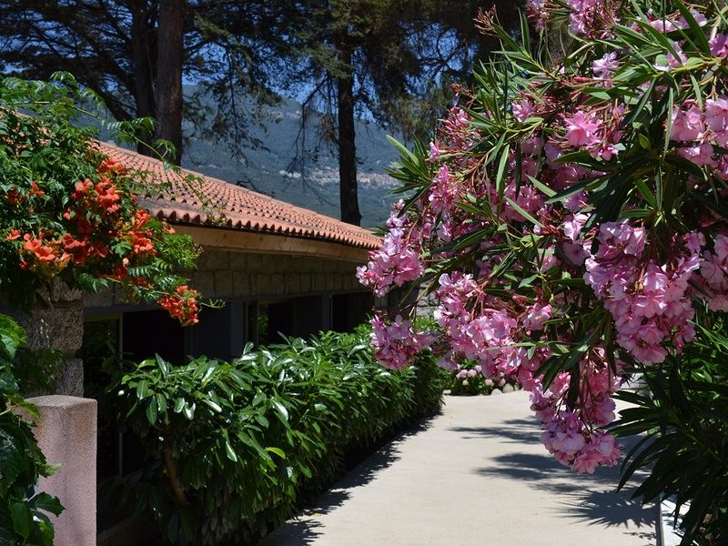 Hôtel Arcu di Sole 2* (vols vacances) pas cher photo 7