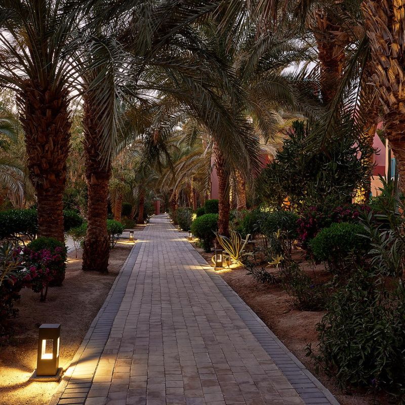 Hôtel Sheraton Miramar Resort El Gouna 5* pas cher photo 13
