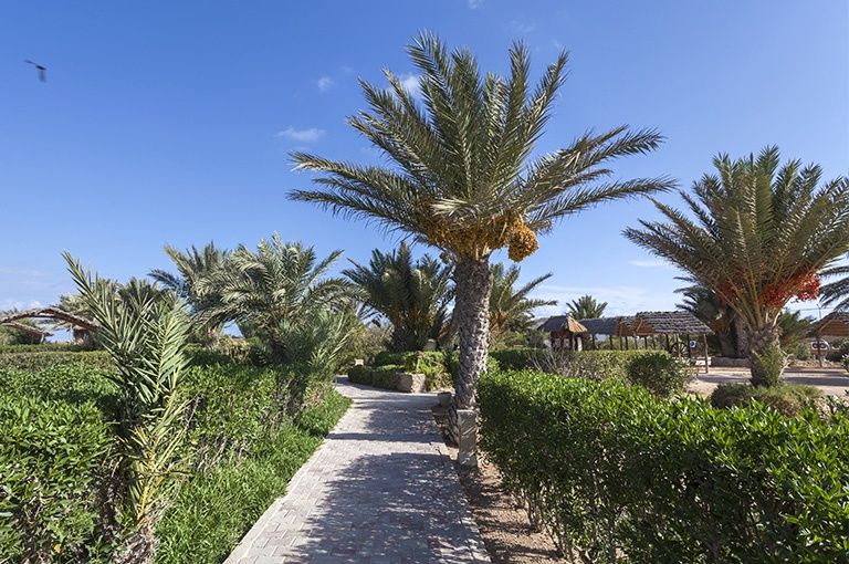 Hôtel Seabel Rym Beach 4* pas cher photo 26