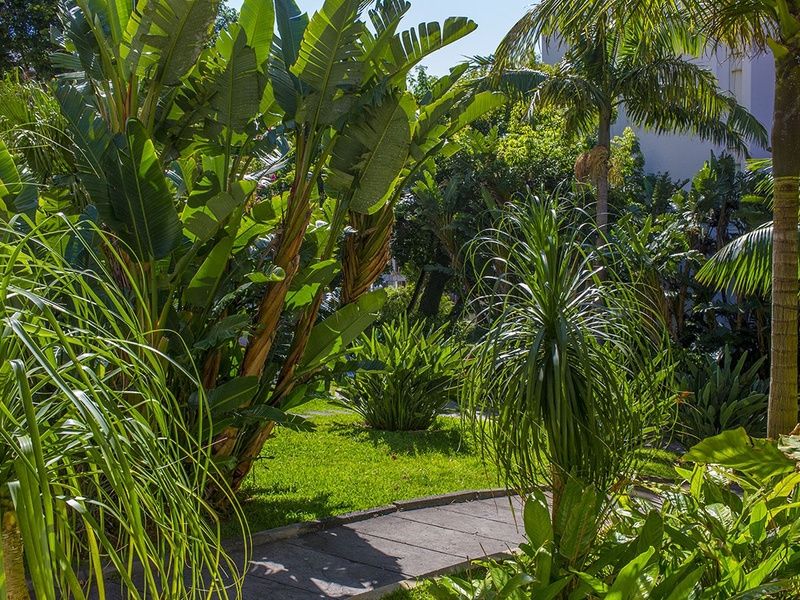 TUI Sélection Hôtel Dorisol Buganvilia - Flex bagages inclus 3* pas cher photo 9