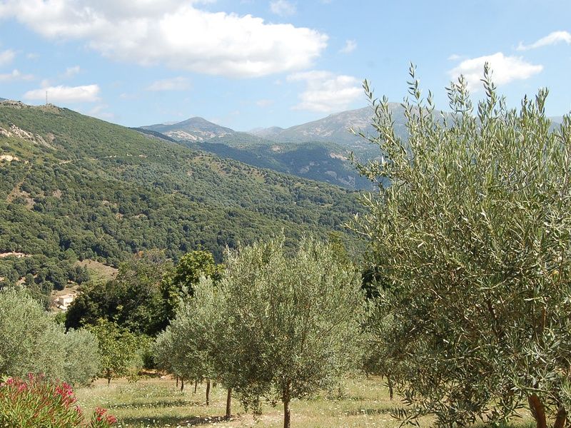 Résidence Les Balcons de la Chiusa (vols vacances) pas cher photo 8