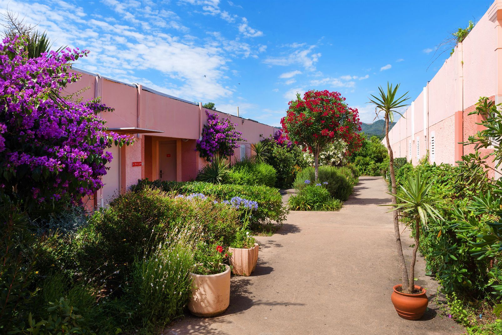 Club Marmara Grand Bleu 3* pas cher photo 6