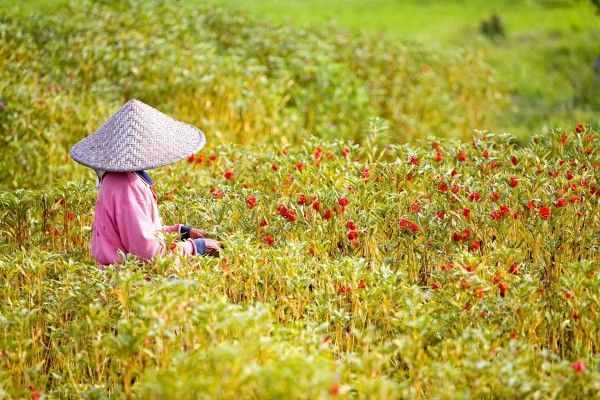 Des rizières d’Ubud aux plages de Sanur 4* pas cher photo 15