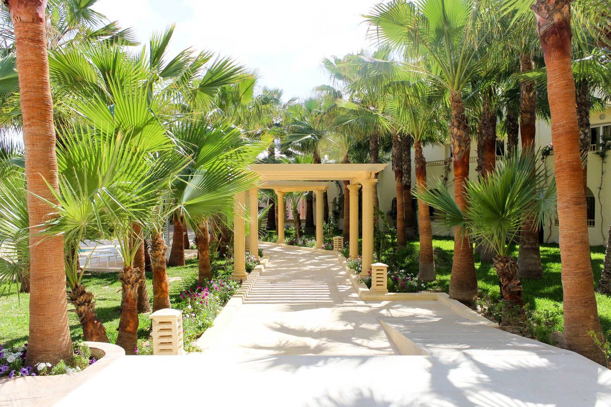 Hôtel Ksar Djerba 4* pas cher photo 17