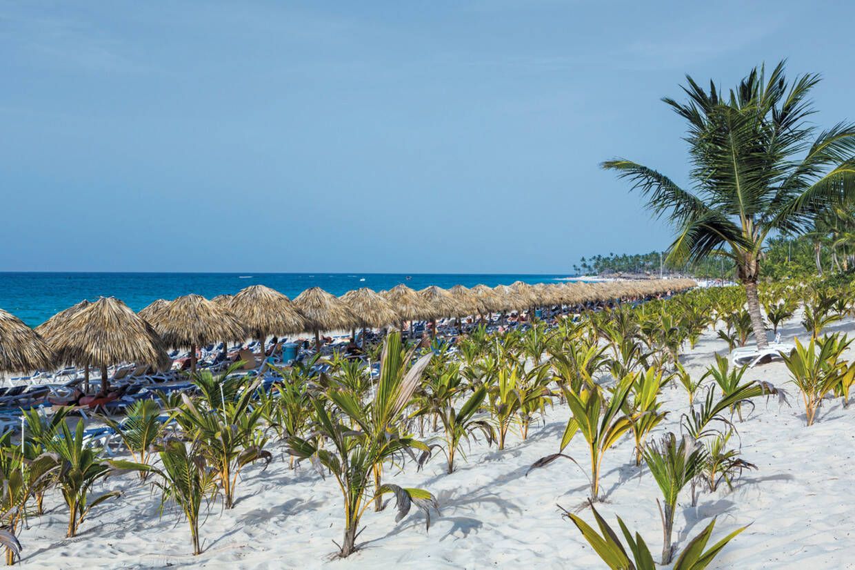 Hôtel Adult Only - Riu Republica 5* pas cher photo 6