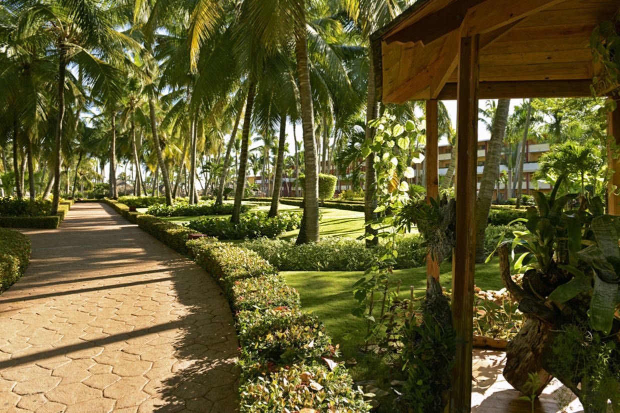 Hôtel Iberostar Punta Cana 5* pas cher photo 34