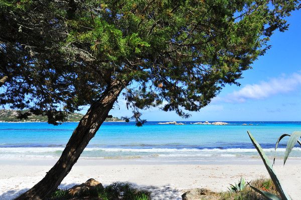 Fram Bien-être & Nature Corse Santa Giulia 3* (vol inclus) pas cher photo 1